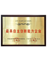 潤(rùn)大世紀(jì)榮獲最具自主創(chuàng)新能力企業(yè)榮譽(yù)證書(shū)，{dede:global.qz_keyword_b/}